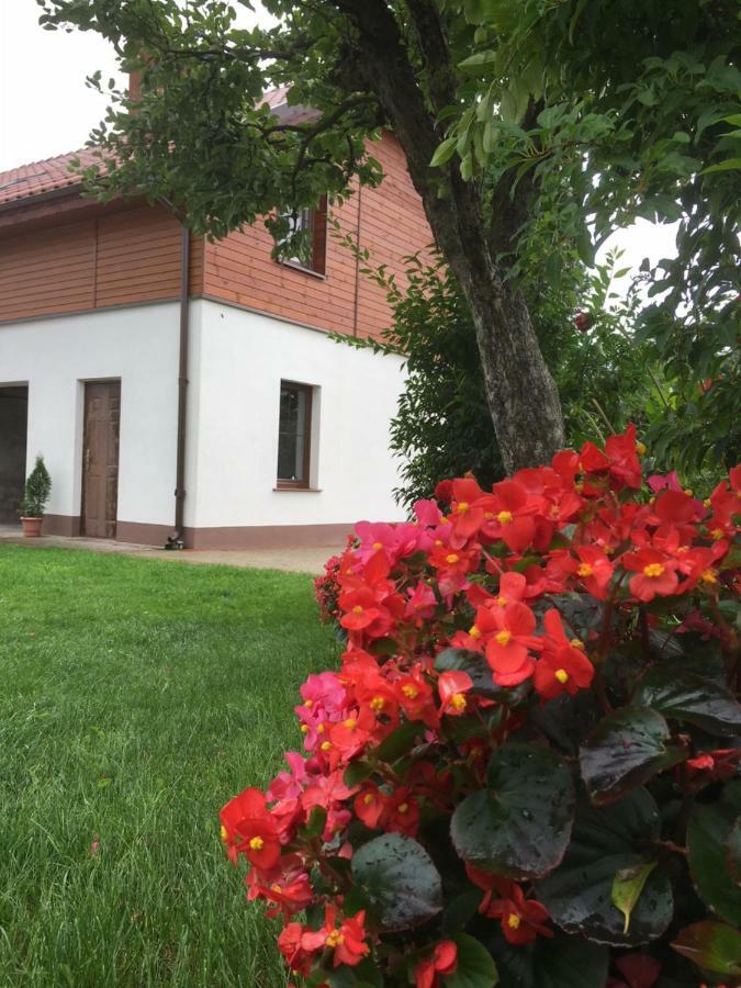 Pokoje Kasztanowa Wilkasy Kültér fotó